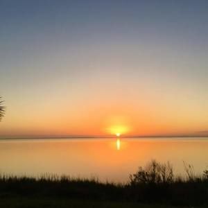 Meet your Posher, Martha